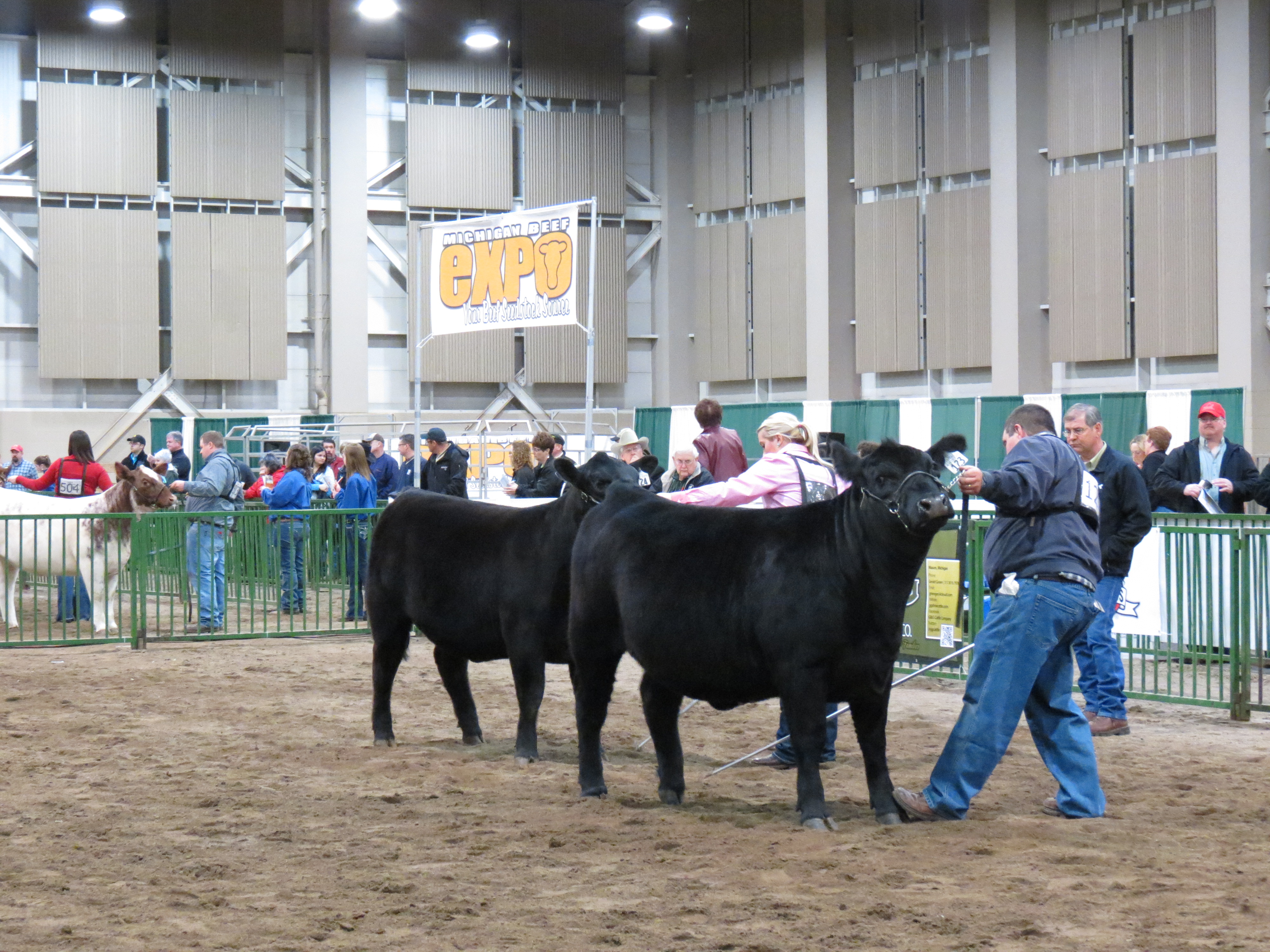 2014 MI Beef Expo Angus Sale Catalog