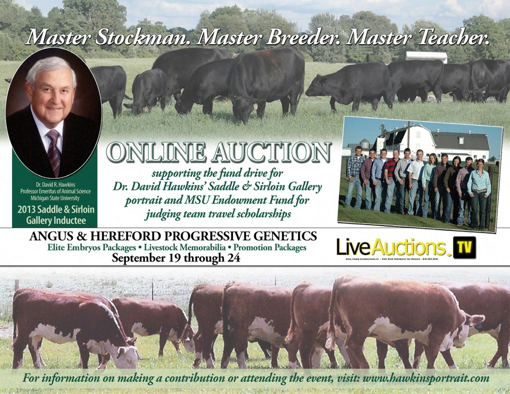 Hawkins S&S Gallery-Online Auction