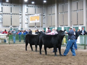 IMG_5745
