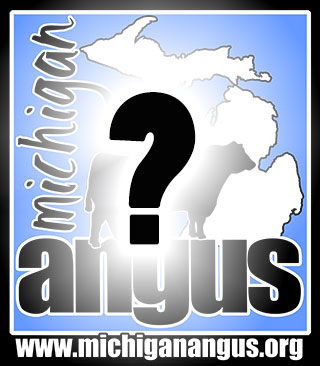 MI Angus Trivia