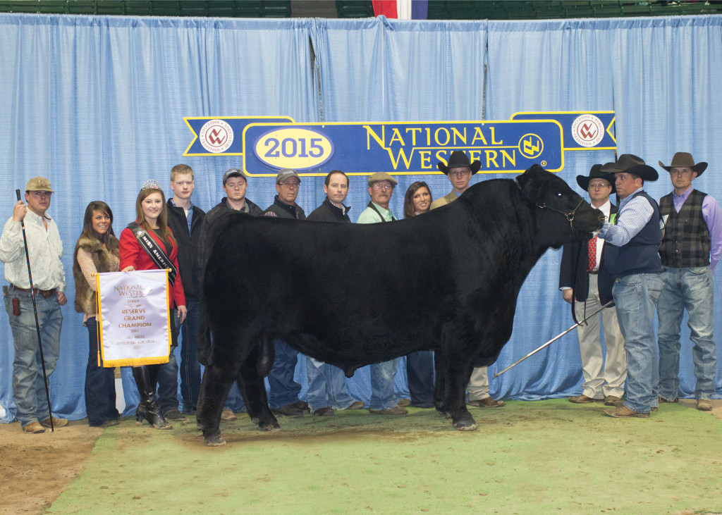 Reserve Grand Champion
