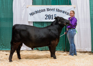 2015 Grand Champion Bred-and-owned Bull MAA Jr Preview Show