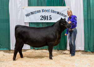 2015 Grand Champion Bred-and-owned Female MAA Jr Preview Show