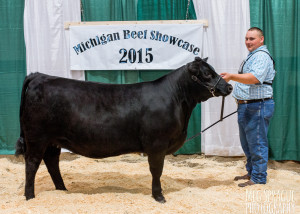 2015 Grand Champion Female MAA Jr Preview Show