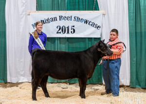 2015 Reserve Grand Champion Bred-and-owned MAA Jr Preview Show