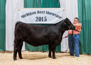 2015 Reserve Grand Champion Female MAA Jr Preview Show