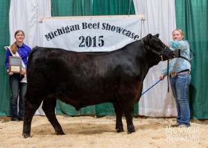 2015 Reserve Grand Champion Steer MAA Jr Preview Show