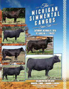 Michigan Angus Fall Sale Catalog 2015