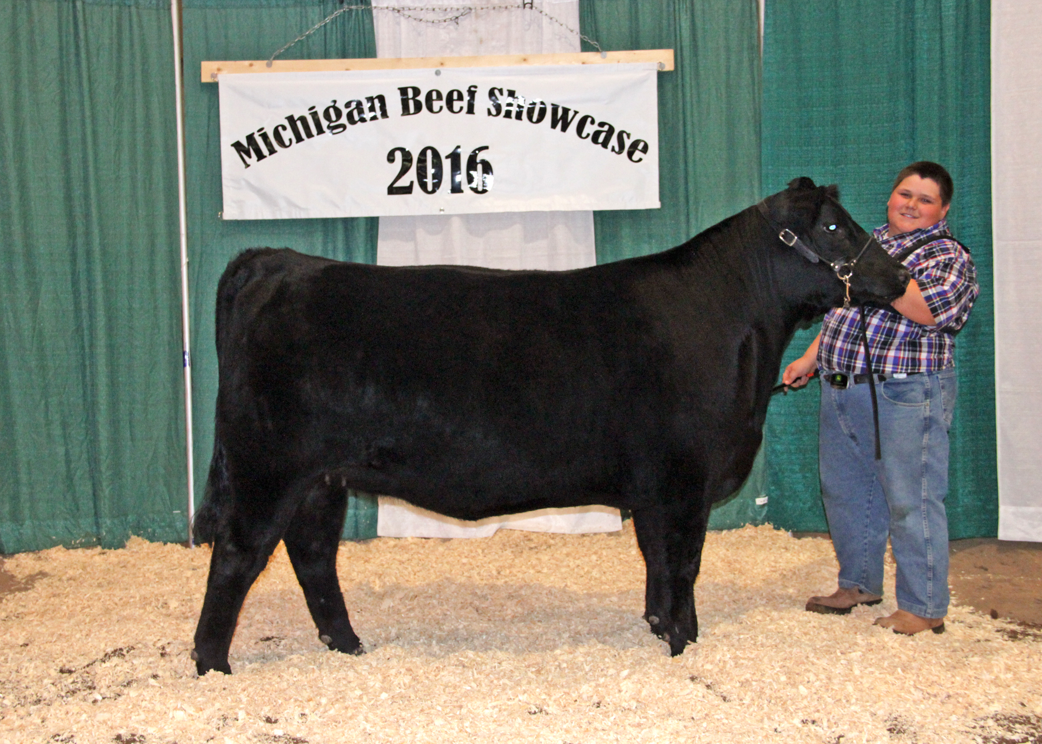 Grand Champion Bred-and-owned Female