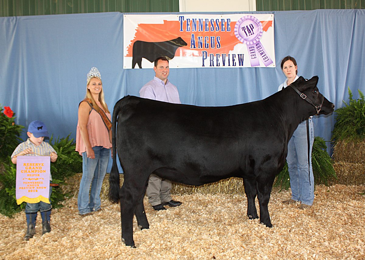 Owned Reserve Junior Champion Heifer