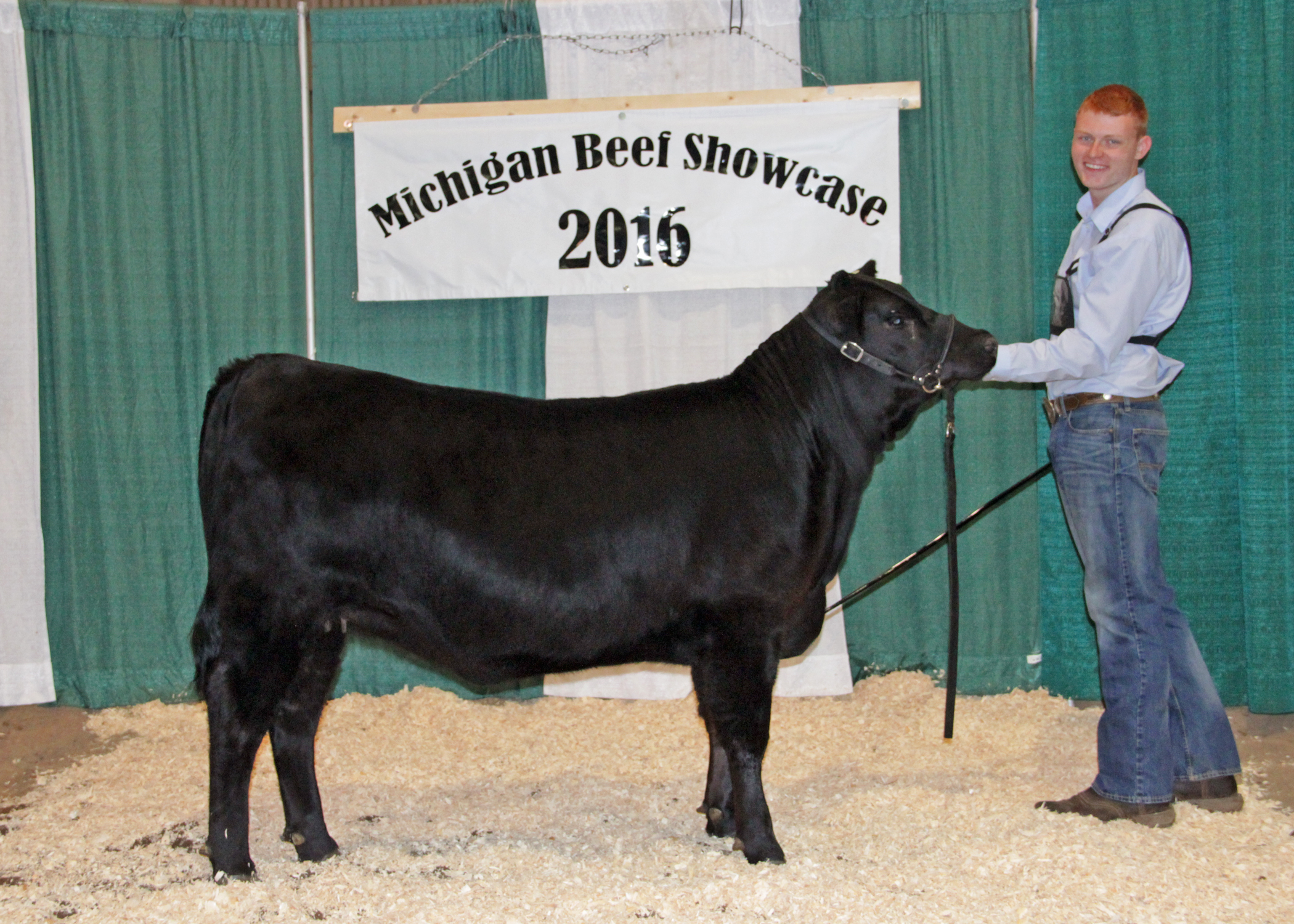 Reserve Grand Champion Bred-and-owned Female