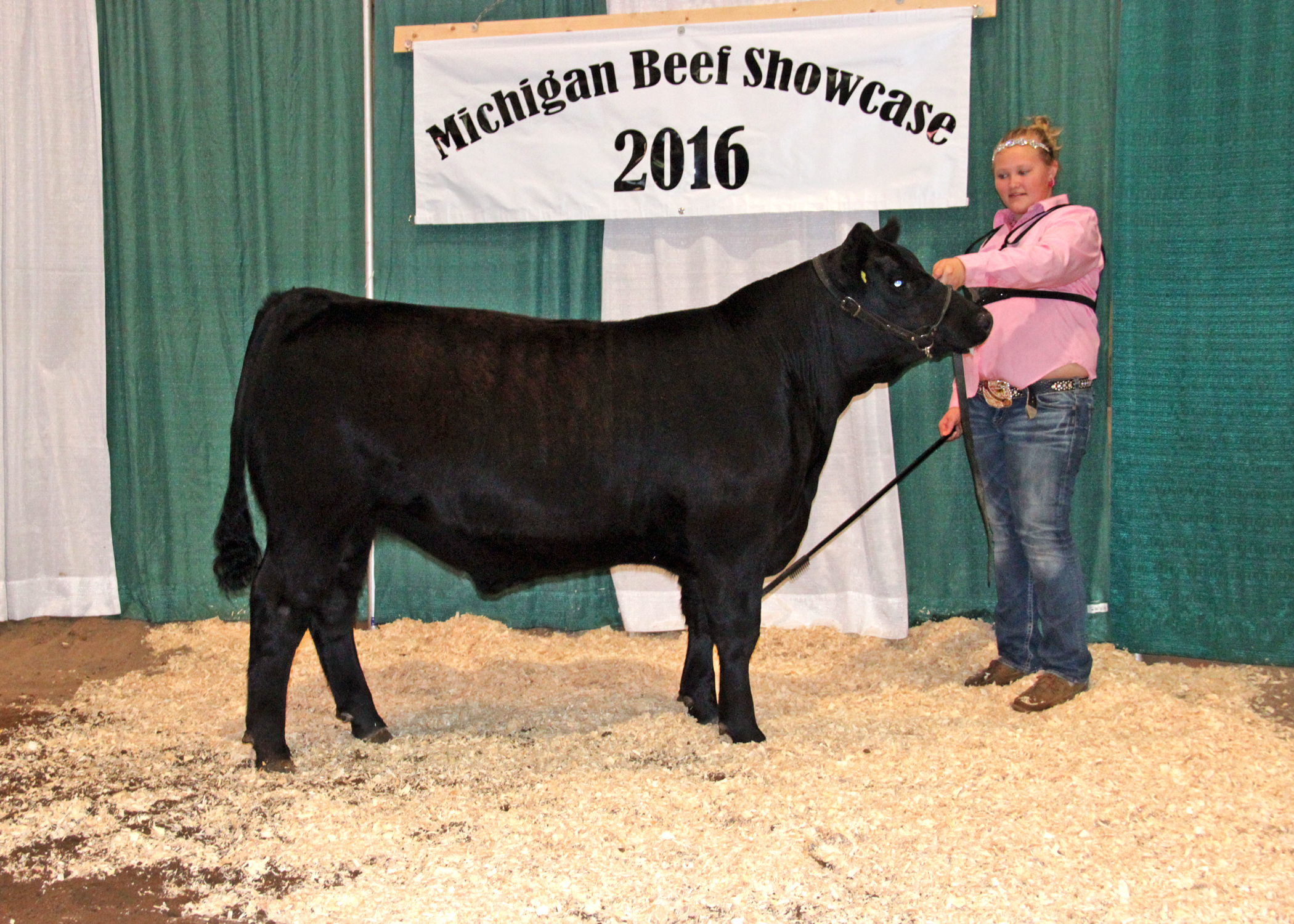 Reserve Grand Champion Bred-and-owned Steer