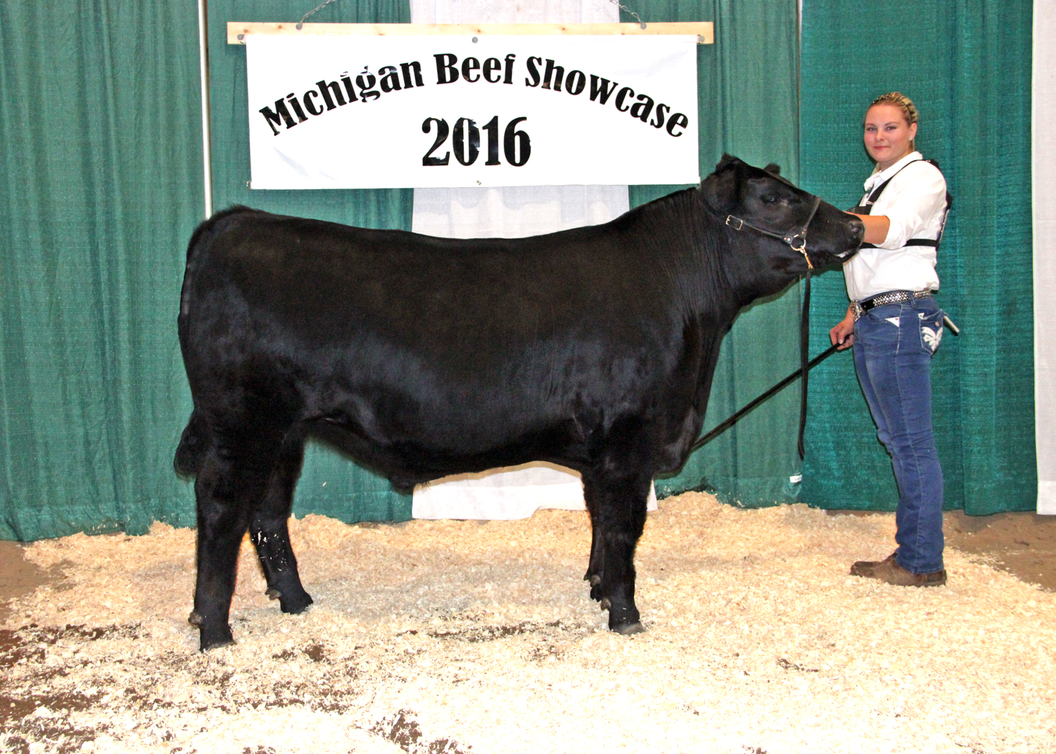 Reserve Grand Champion Steer