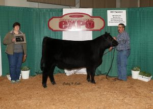 Grand Champion Female