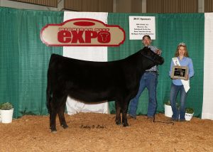 Reserve Champion Female