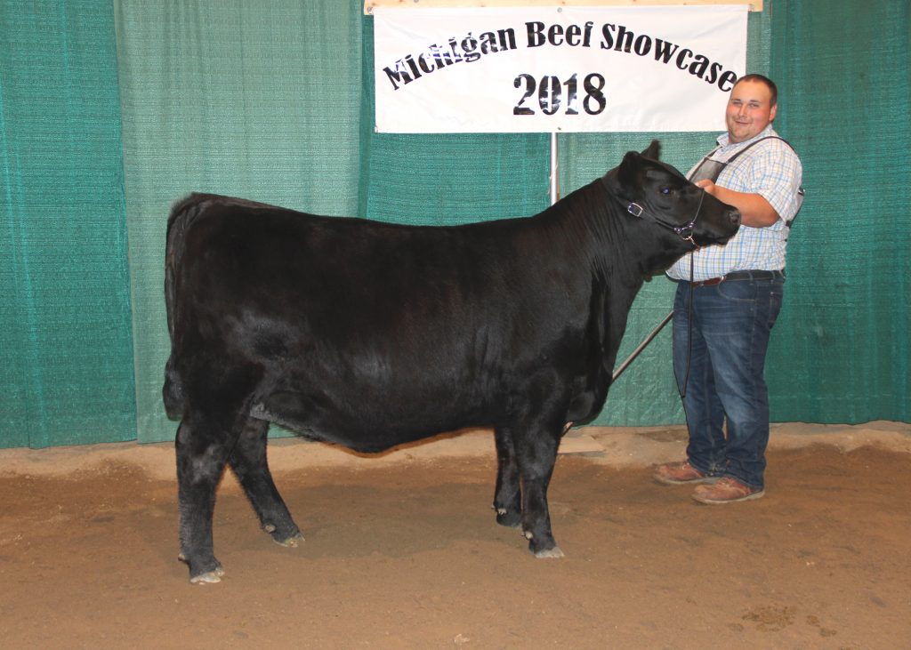 Grand Champion Bred-and-owned Female