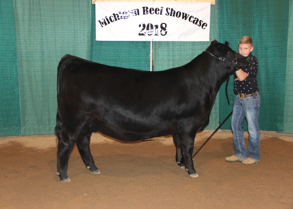 Grand Champion Owned Female