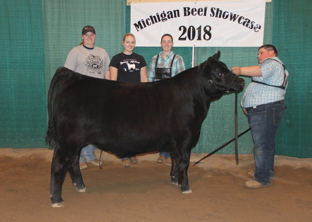 Grand Champion Steer