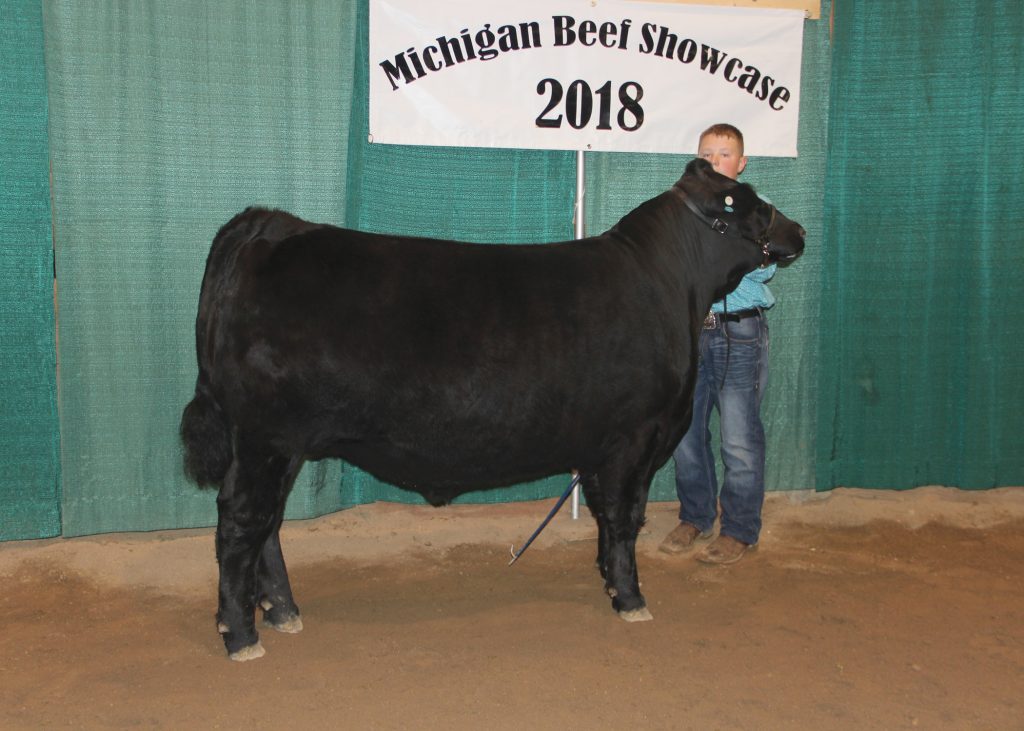 Reserve Grand Champion Steer