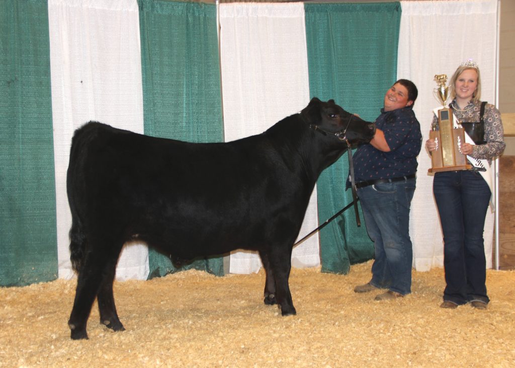 Grand Champion Steer