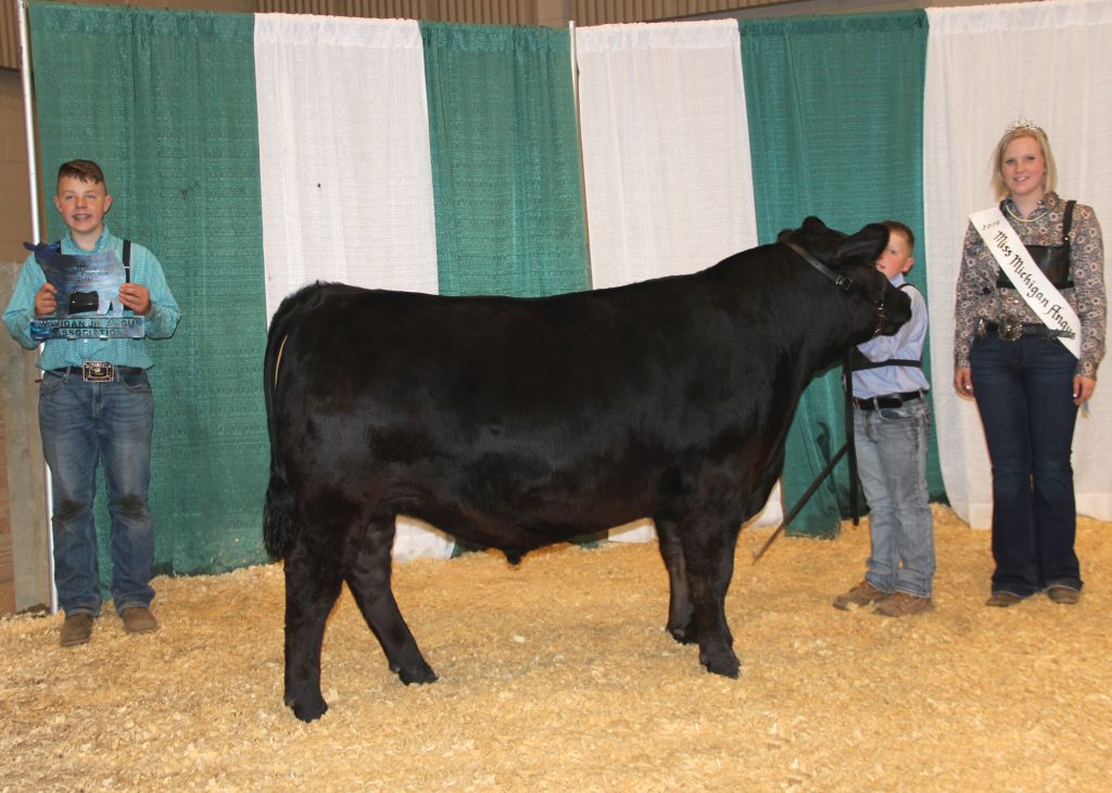 Reserve Grand Champion Steer