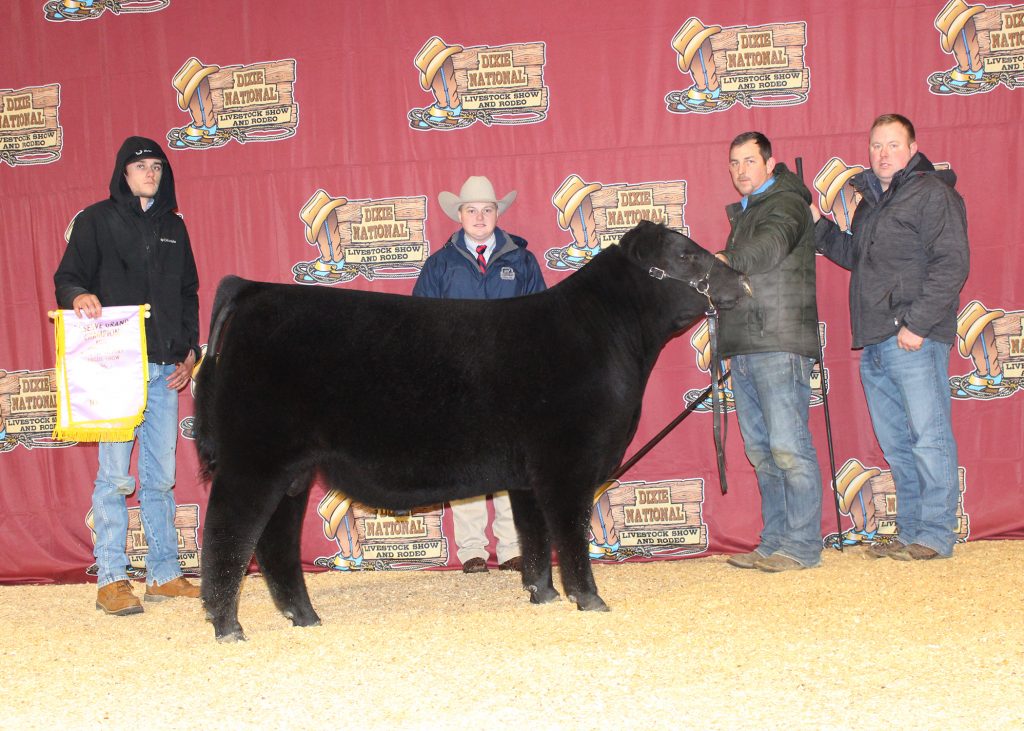 Reserve Grand Champion Bull